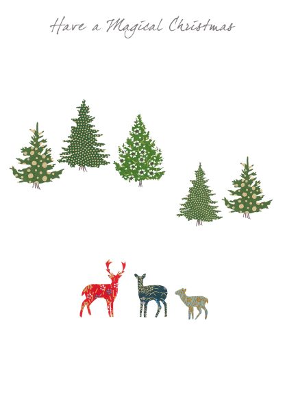 Eloise Hall Nature Christmas pack